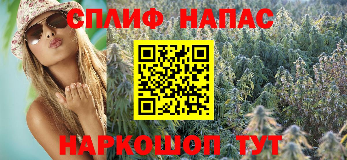 Бошки Шишки марихуана Изобильный